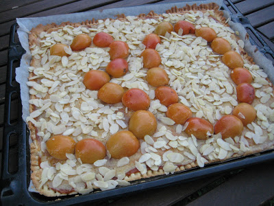 Crostata frangipane alle albicocche, ovvero dal trentello non si scappa!